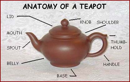 Anatomy of a Teapot: Everything you need to know about how teapots are constructed.